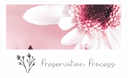 Floral tab leading to information on flower preservation process