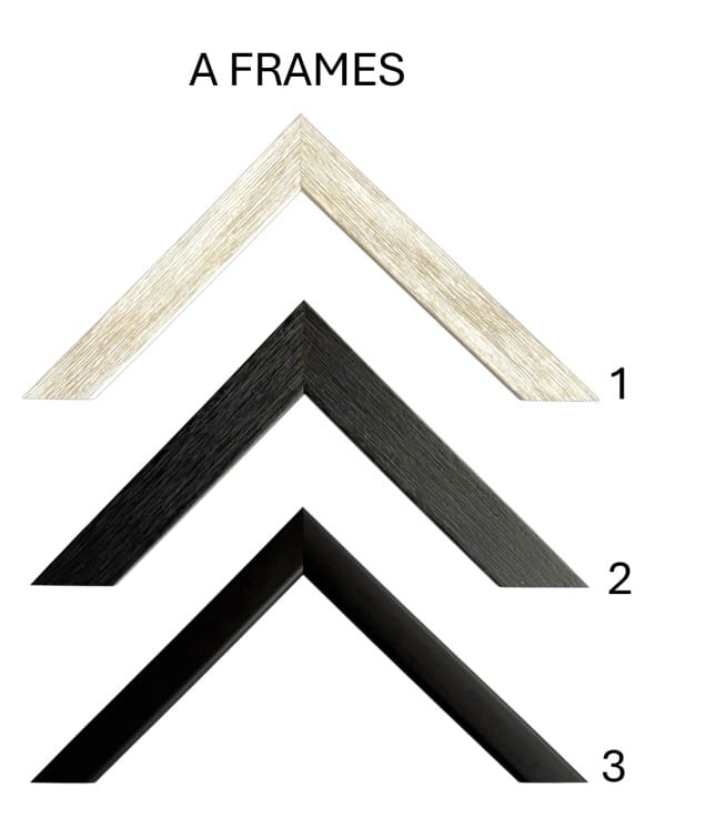 Collection of frames for flower preservation from 20mm to 25mm