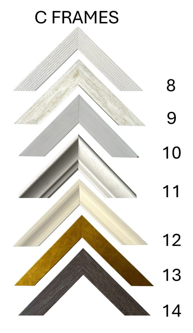 Collection of frames for flower preservation from 26mm - 40mm