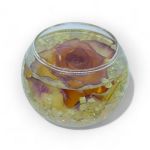 Preserved yellow/peach rose and gypsophila in a resin bowl