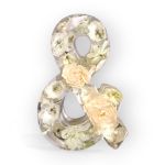 11.5cm preserved bridal flower ampersand as part of a letter set