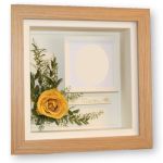 Single yellow preserved rose with photograph in an oak box frame